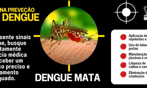 DENGUE SITE